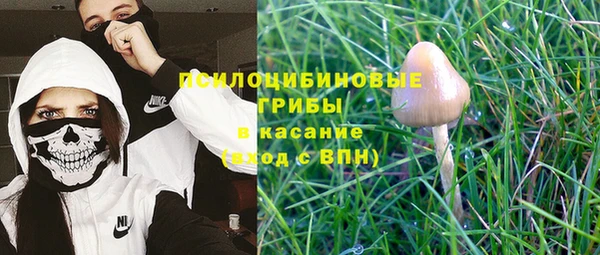 герыч Медногорск
