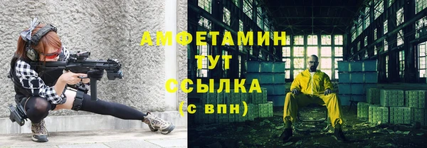 гидра Медвежьегорск