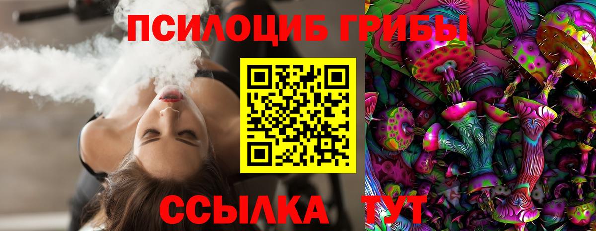 Галлюциногенные грибы Psilocybine cubensis  Вход с VPN  Волгодонск 