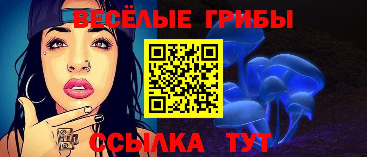 Псилоцибиновые грибы Psilocybe Волгодонск
