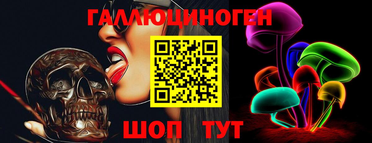 Псилоцибиновые грибы Psilocybe  Волгодонск 